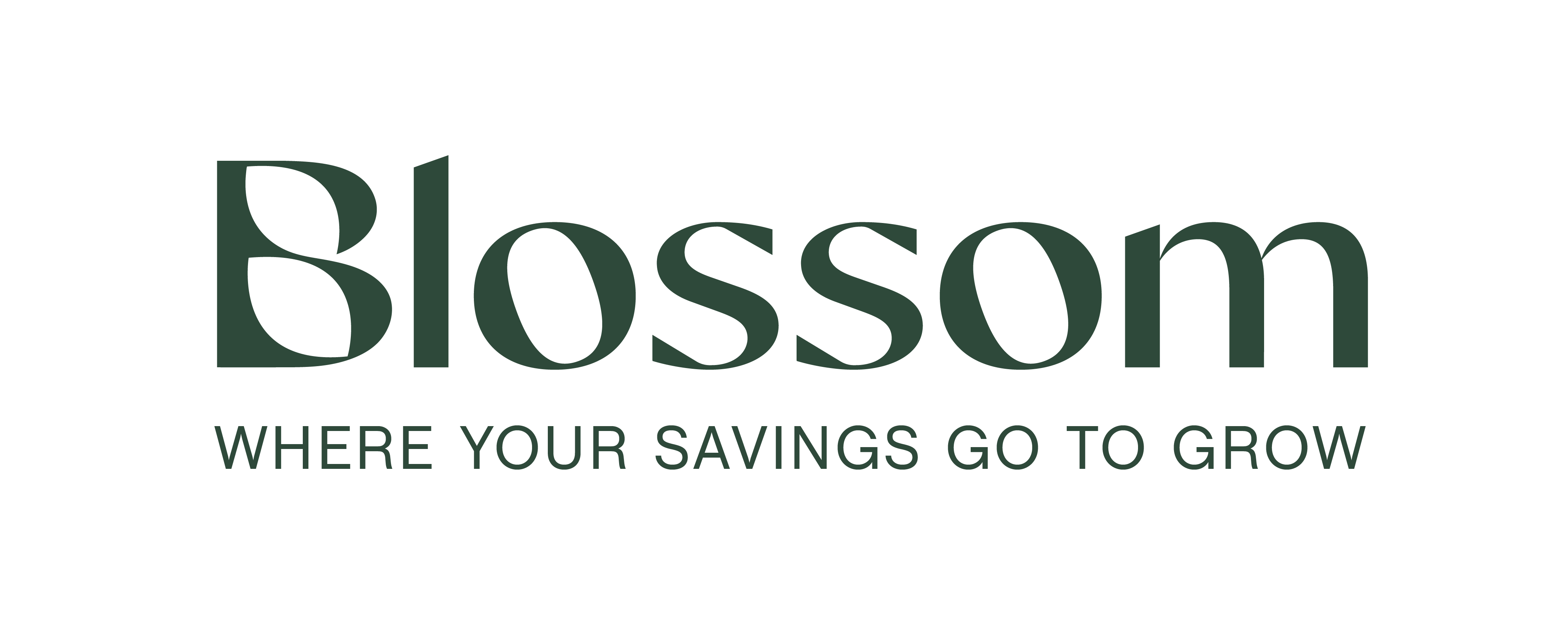 Understanding Money: Guide to Boosting Aussie Finance